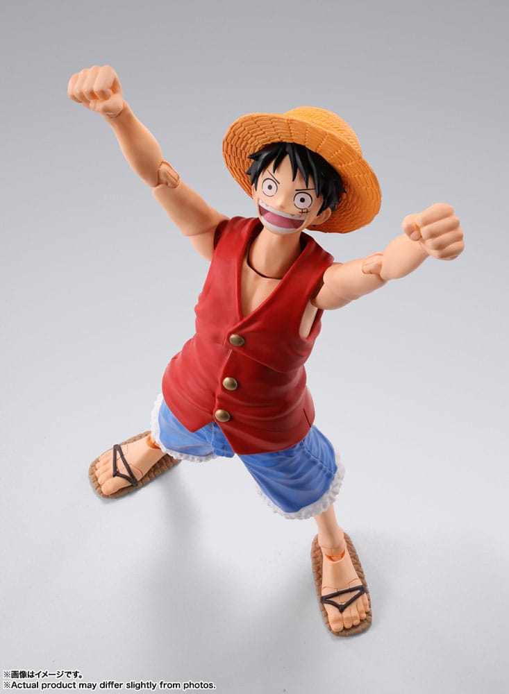 One Piece Figuren Schweiz
